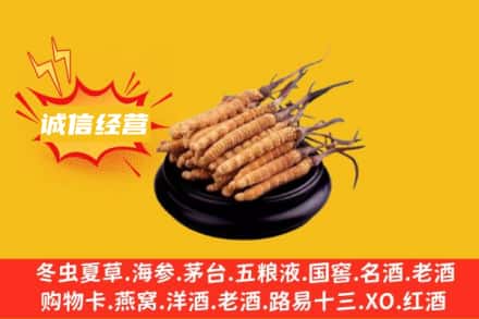 汉中市回收冬虫夏草